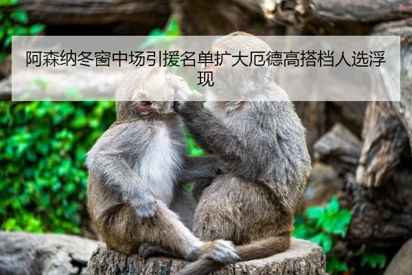 阿森纳冬窗中场引援名单扩大厄德高搭档人选浮现